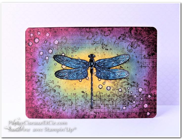 papierciseauxetcie-sandrine-stampin-up-songes-de-libellules-dragonfly-dreams-card-carte-timelees-textures